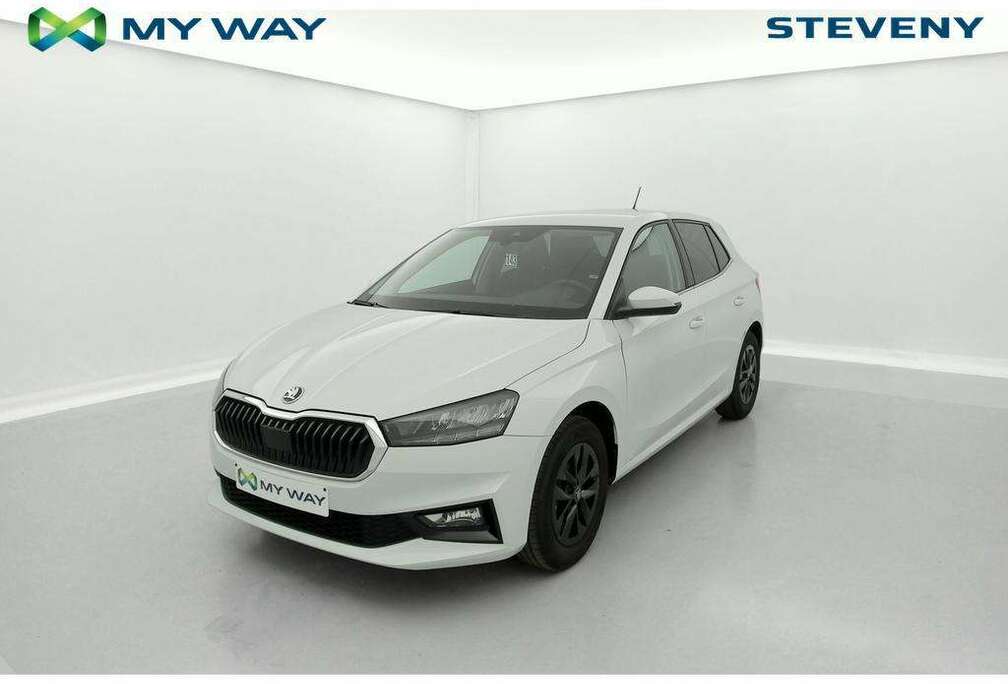 Skoda 1.0 TSI 95 Selection