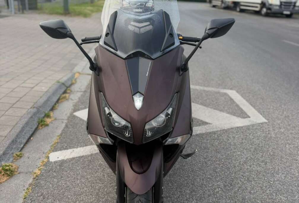 Bronze Max