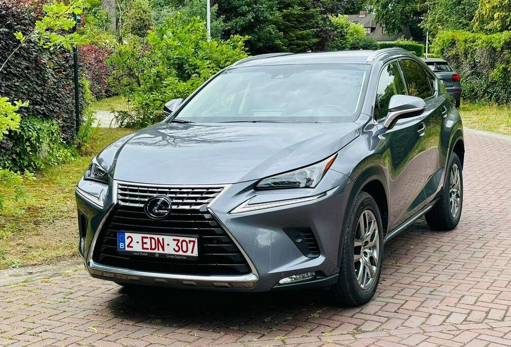Lexus NX 300h Executive Line