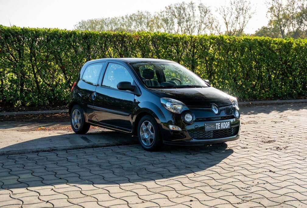 Renault Panoramisch open dak