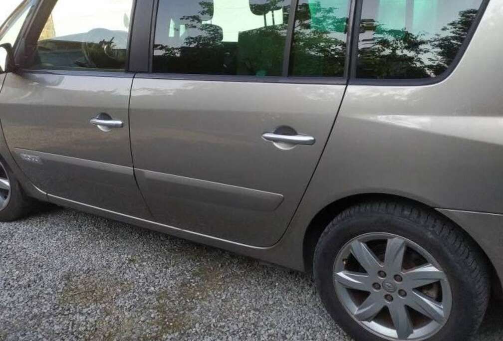 Renault 2.0 dCi Business (Fleet)