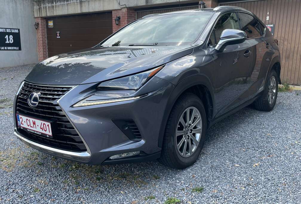 Lexus NX 300h 2.5i AWD Executive Line E-CVT