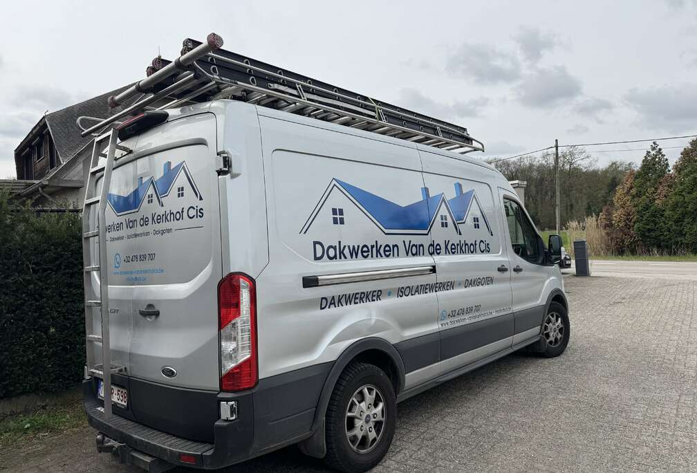 Ford 2.0 TDCi L2H2 mHEV Trend