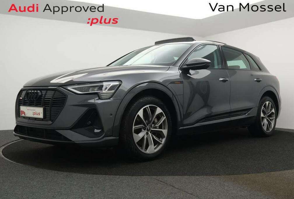 Audi Audi e-tron S-line 55 QUATTRO 408PK *PANODAK*TREKHAAK*LEDER*CAMERA*PDC*NAVI*CRUISE*LANE-ASSIST*...*
