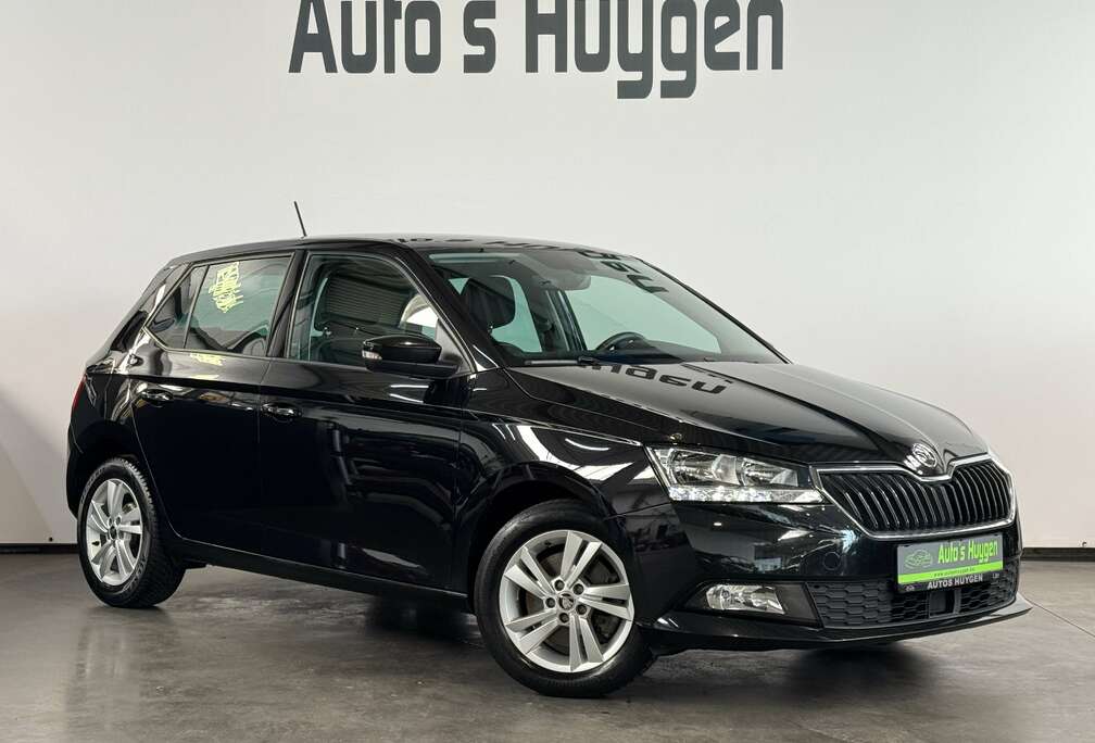 Skoda VERKOCHT!