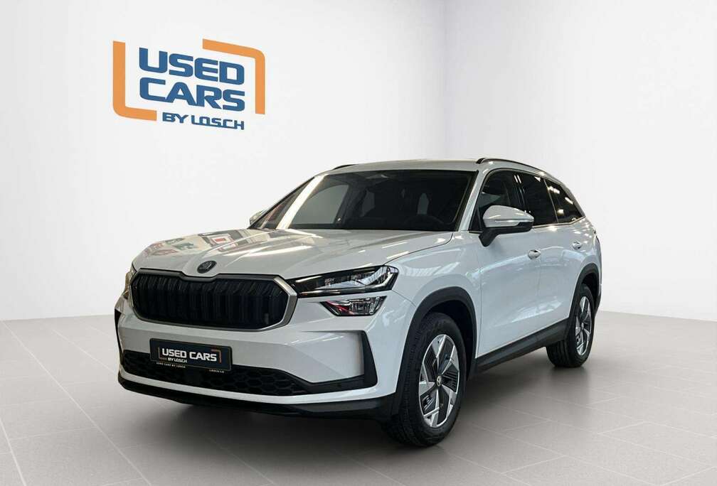 Skoda Selection+DSG+4x4+Navi+AHK