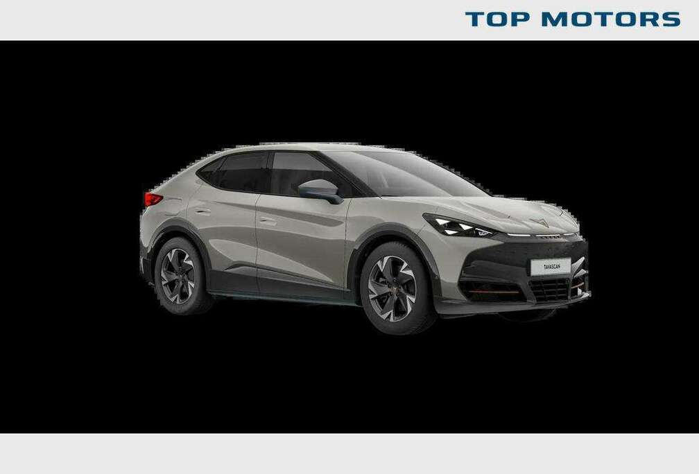 Tavascan Corporate 286pk 77 kWh *>400km actieradius*STOCK*