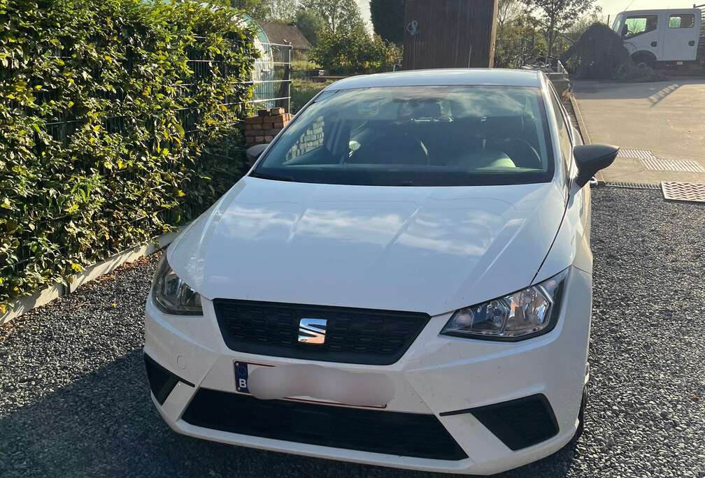 SEAT 2019 1.0 TGI (CNG+Essence)
