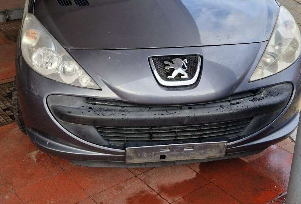 Peugeot 206+ 60