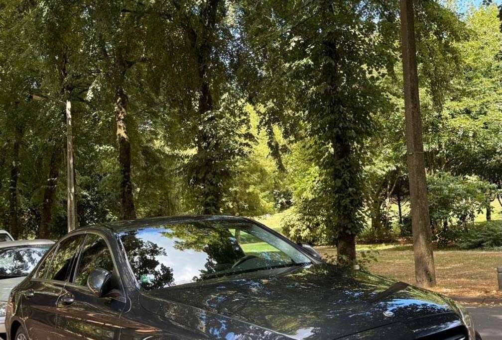 Mercedes-Benz d