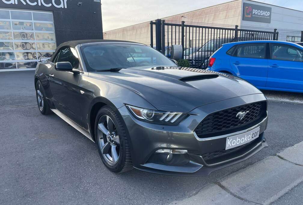 Ford // CABRIOLET // CUIR // GPS // FULL OPTION