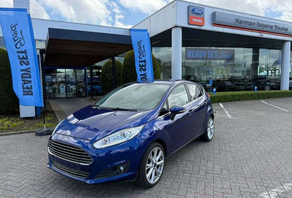 Ford Enkel voor professionele verkoop.