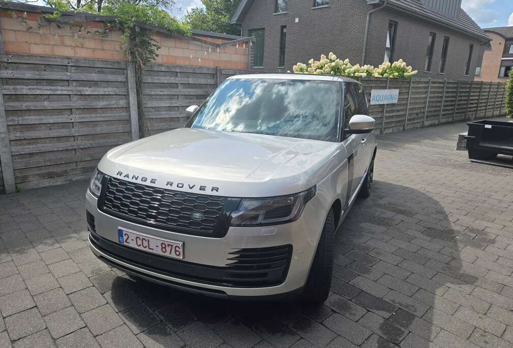 Land Rover benzine