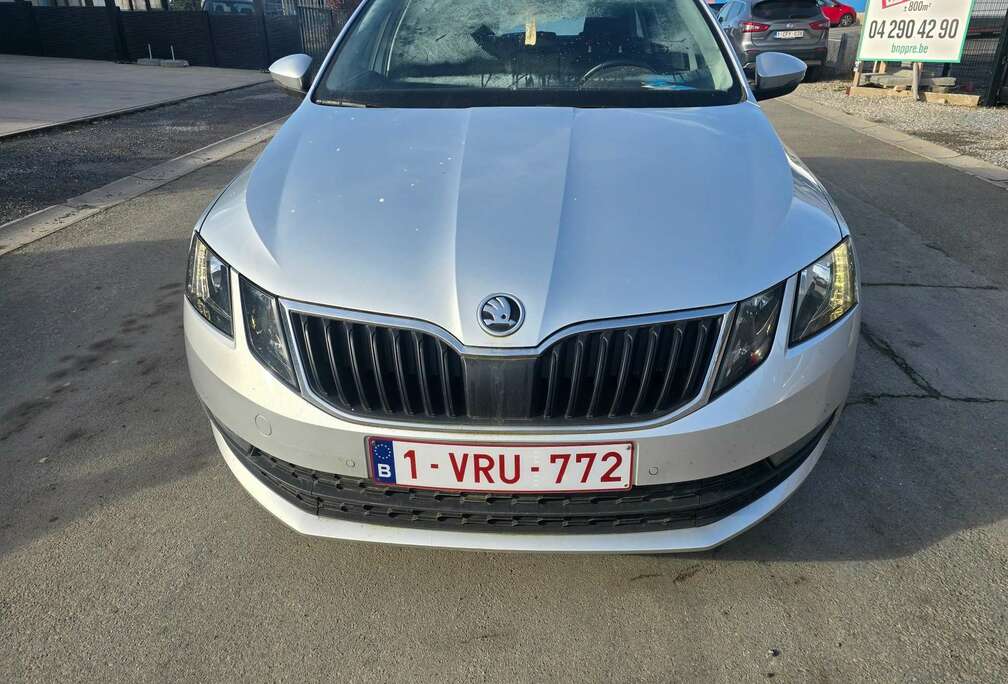 Skoda Octavia SW 1.6 CR TDi Ambition (EU6.2)  turbo prob