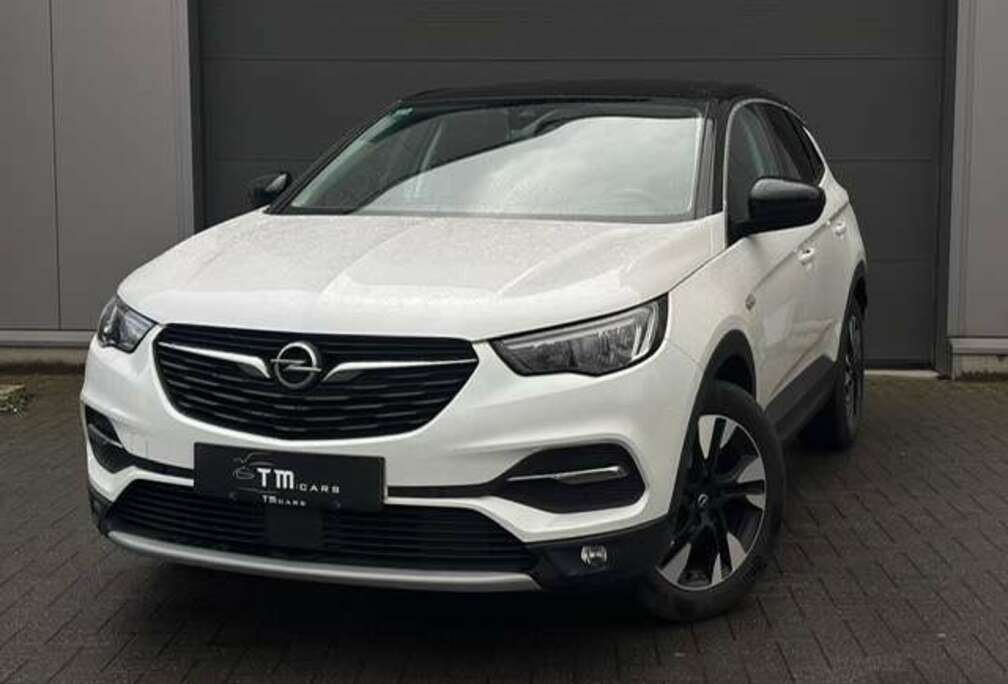 Opel navigatie/camera/cruise controle