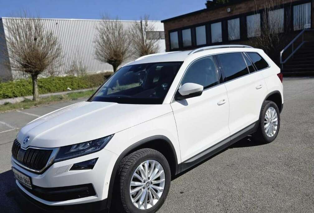 Skoda 2.0 CR TDi 4x4 Style DSG