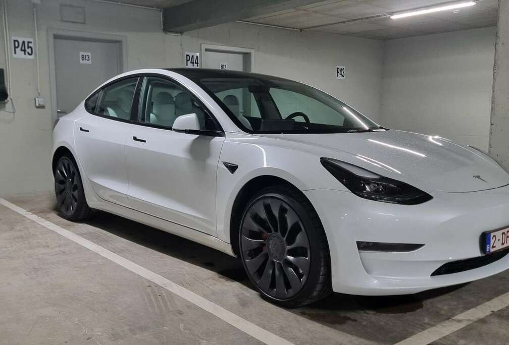 Tesla Langstreckenbatt. Allradantrieb Dual Motor Perform
