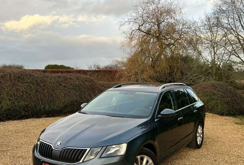 Skoda SW 1.6 CR TDi 115 CV Style DSG SPORT GARANTIE 1 AN