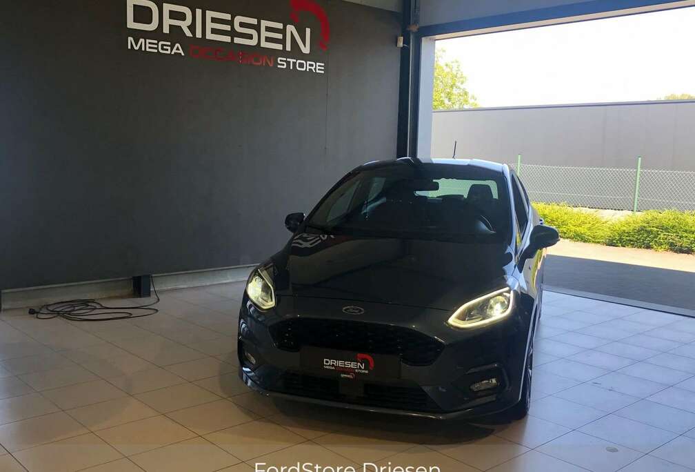 Ford EcoBoost ST-Line  BIJ DRIESEN BREE  089/461610