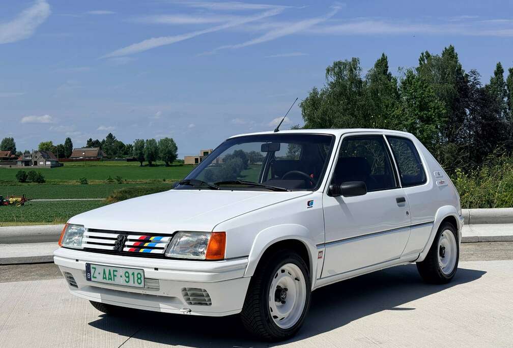 Peugeot 1.3 Rallye