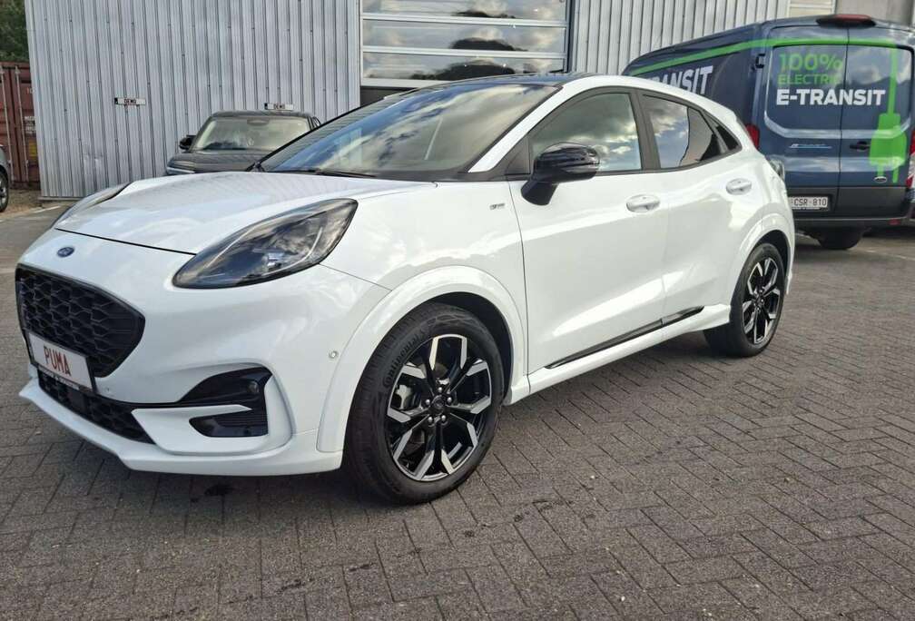 Ford ST-line X / 155PK /DCT7(automaat) / Frozen White
