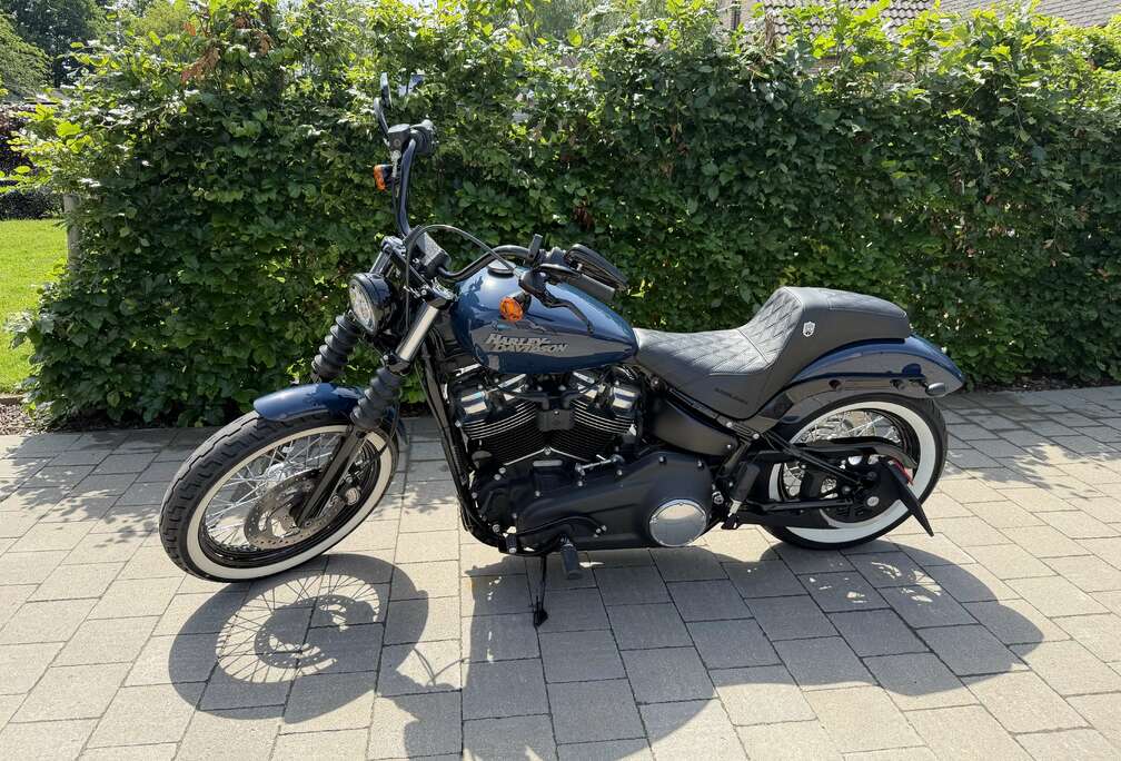 Fxbb Softail