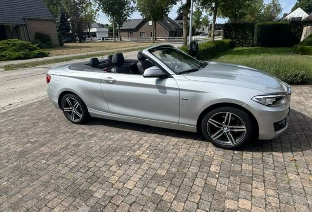 BMW Cabriolet 218i Sport line, business pack, extra wielenset, sportzetels, Xenon, leder, Navi, cruise cont, verwarmde zetels