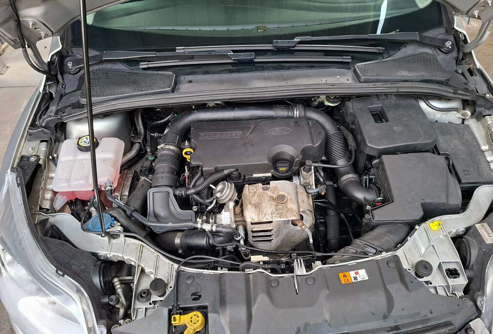Ford Focus 1.0 EcoBoost ECOnetic Tech. Edition