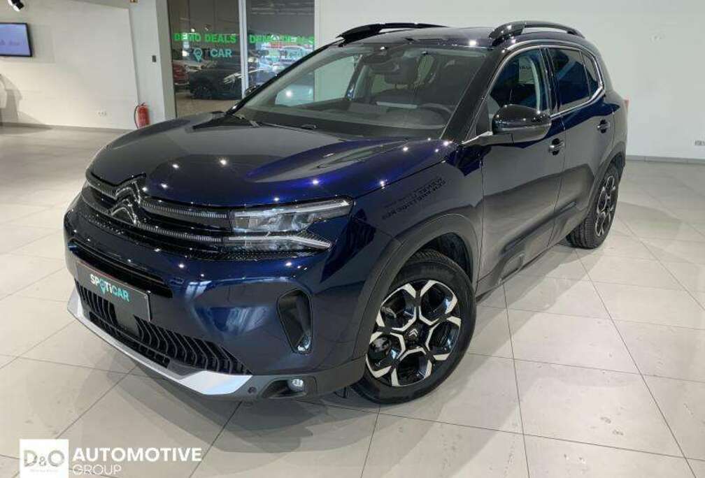 Citroen max hybrid