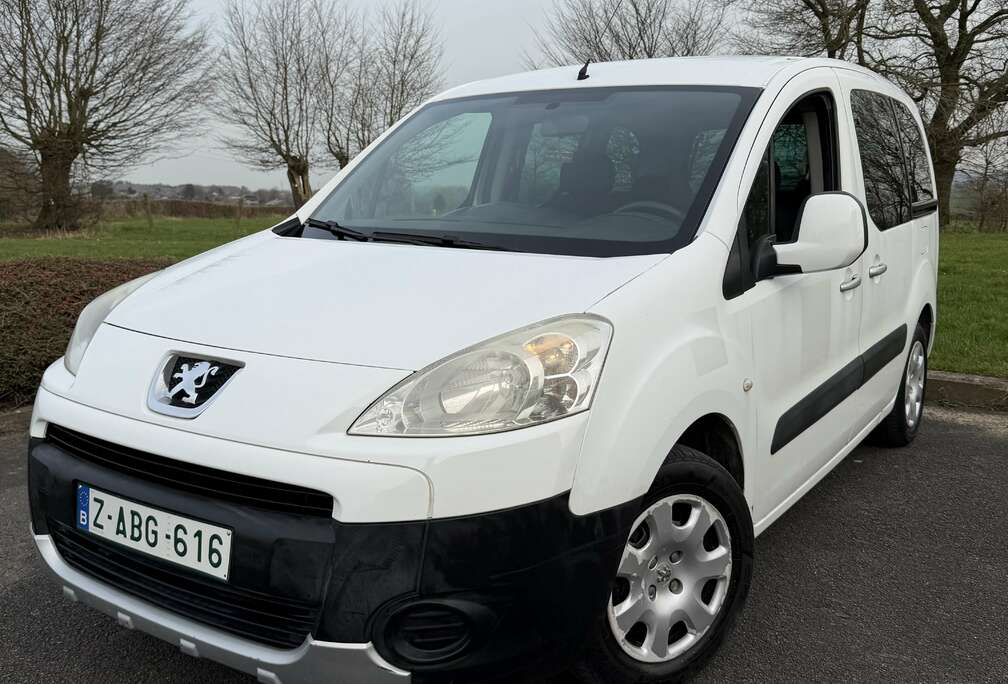 Peugeot Partner Tepee 1.6 HDi Premium FAP