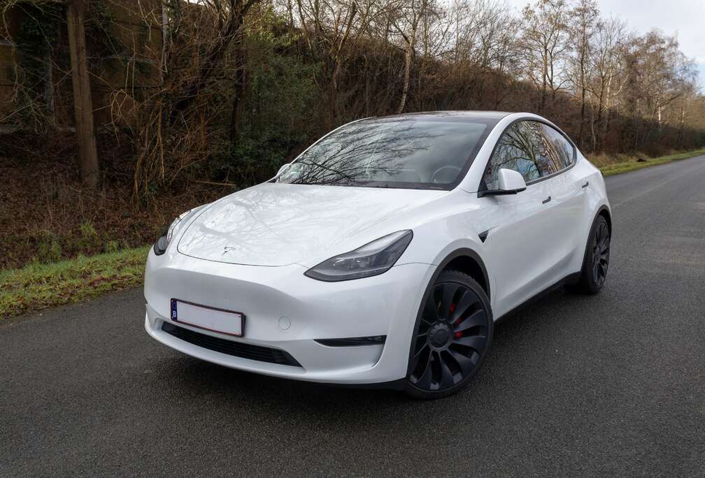 Tesla Model Y 72.5 kWh Dual Motor Performance (377 kW)