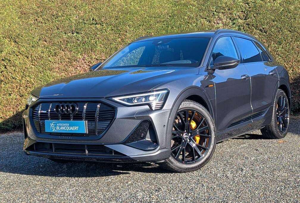 Audi (Q8) e-tron 2x s-line- opendak - B&O - sportstuur