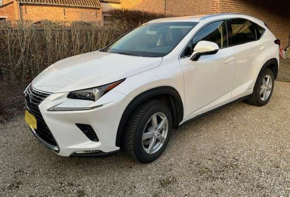 Lexus NX 300h Business Line