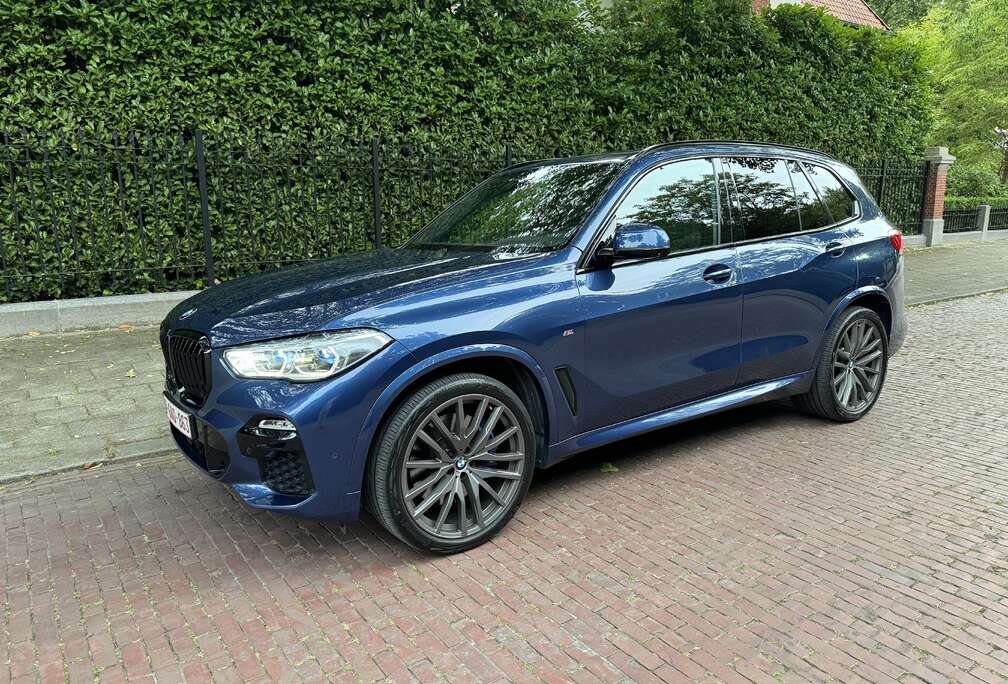 BMW 3.0 dAS xDrive30 AdBlue