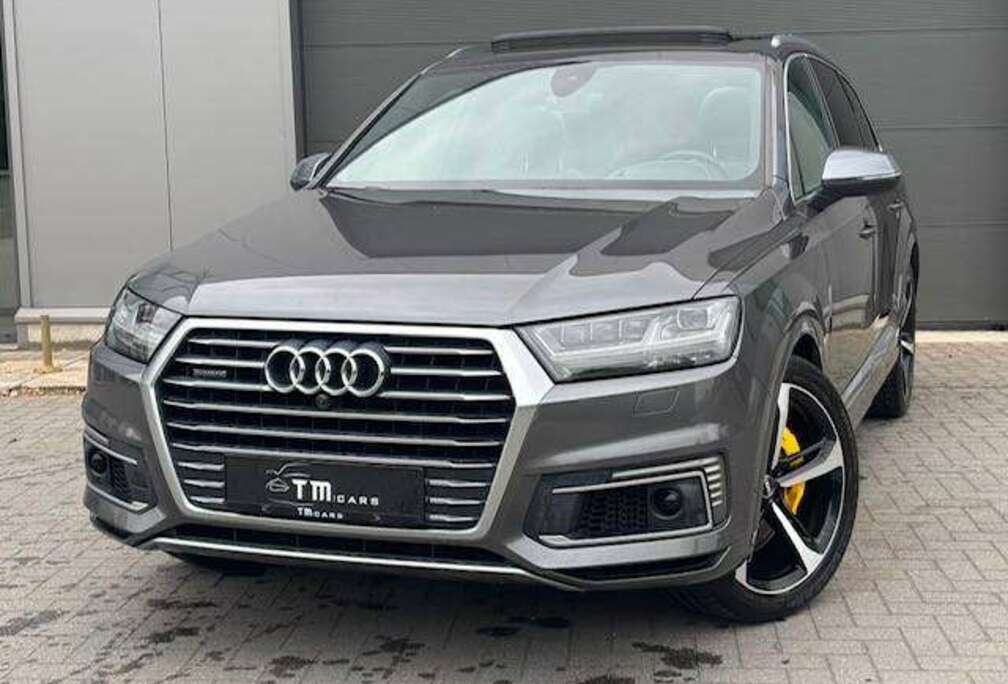 Audi Matrix/pano dak/camera/S-Line