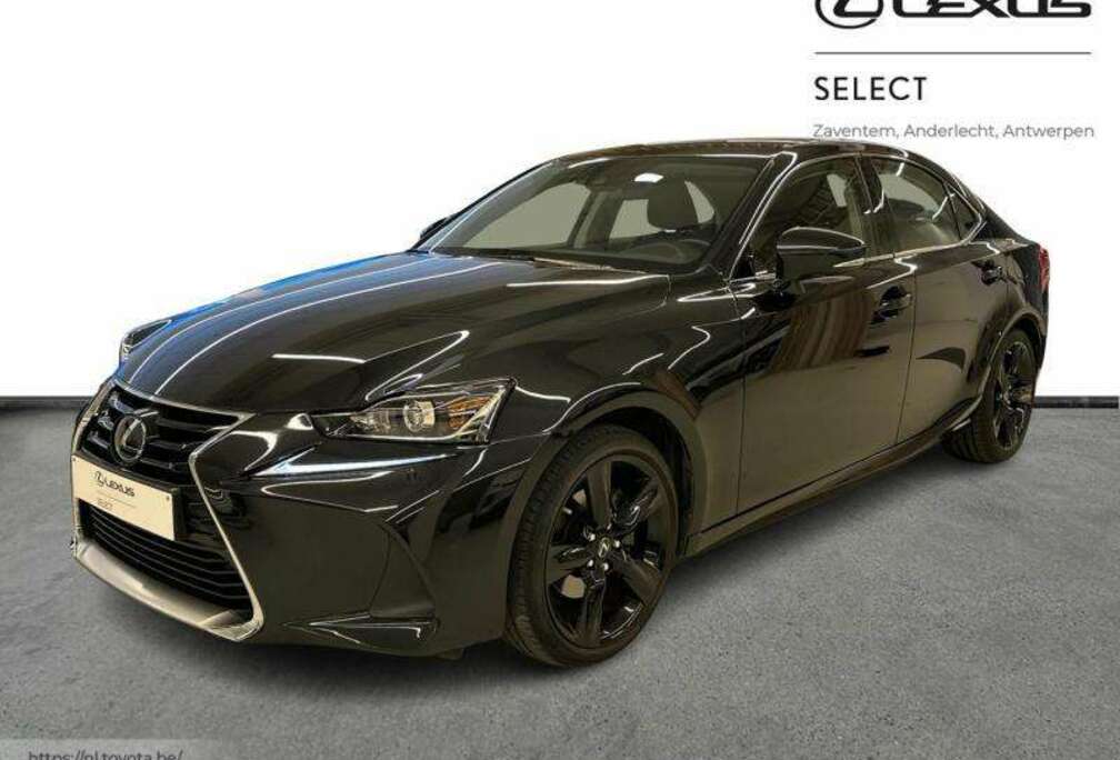 Lexus Dynamic Line & Black Edition