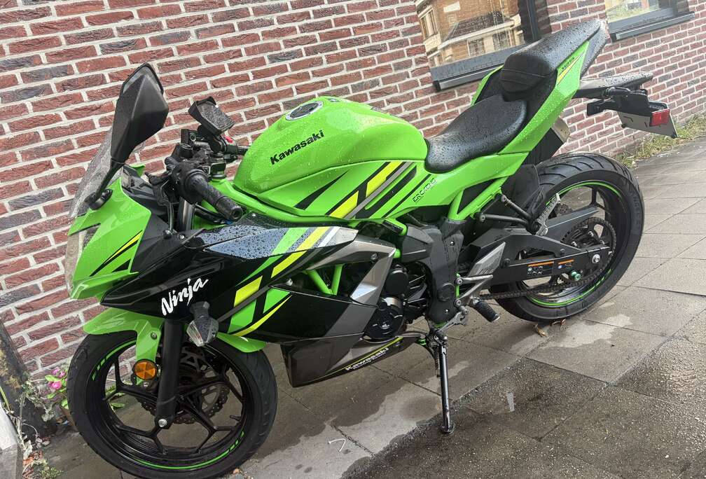 Type Kawasaki Ninja 125 Bouwjaar : Sportieve look,