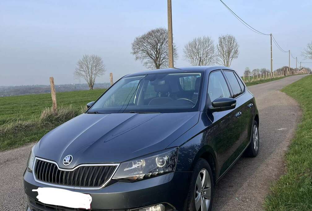Skoda 1.2 TSI Style