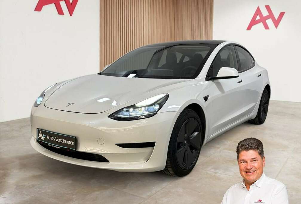 Tesla Standard Plus ** Pano Camera Zetelverwarming