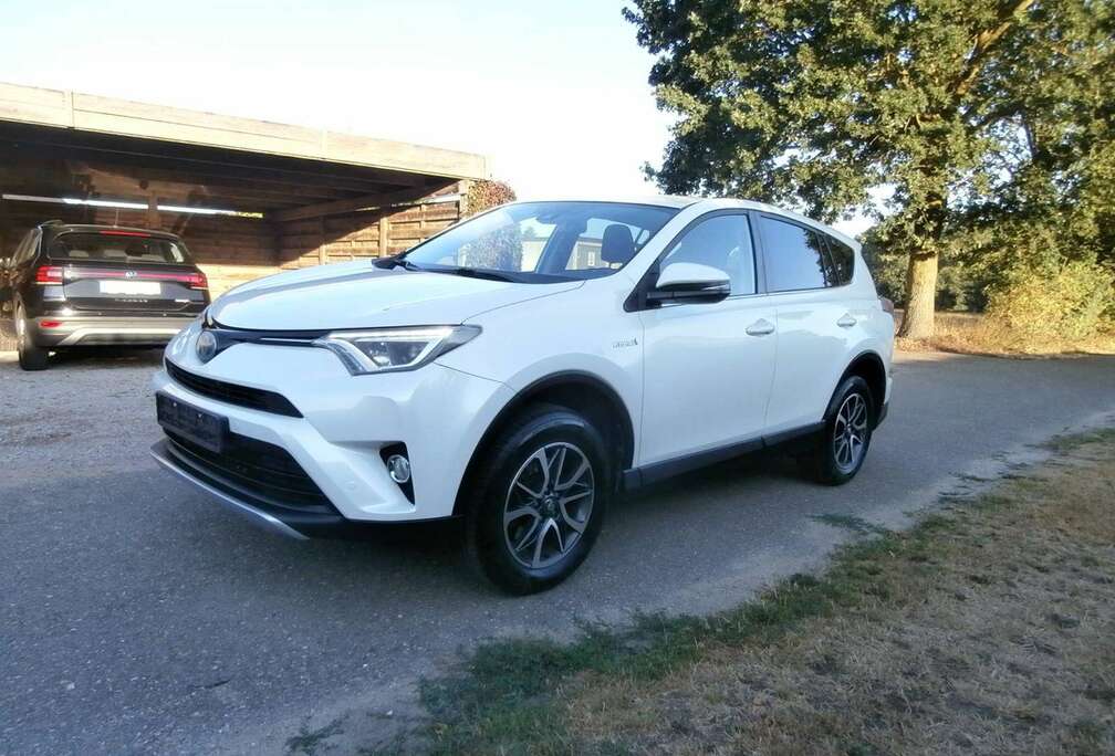 Toyota RAV4 Hybrid 2.5i e-AWD Business Plus CVT