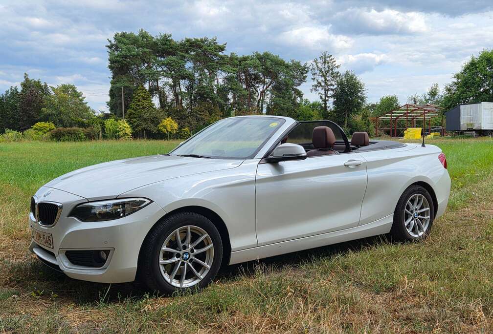 BMW Cabriolet 220 dA