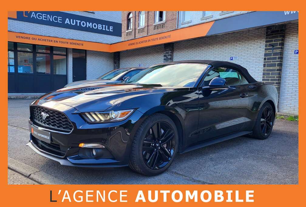 Ford CONVERTIBLE 2.3EcoBoost ROUSH PERFORMANCE GARANTIE