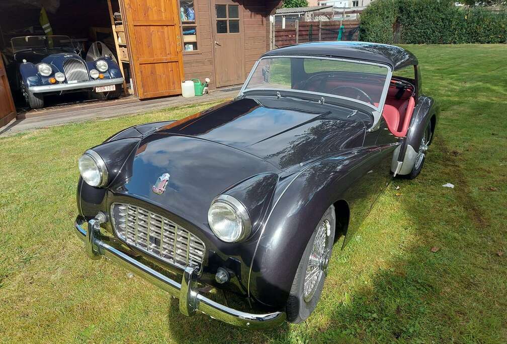 Triumph