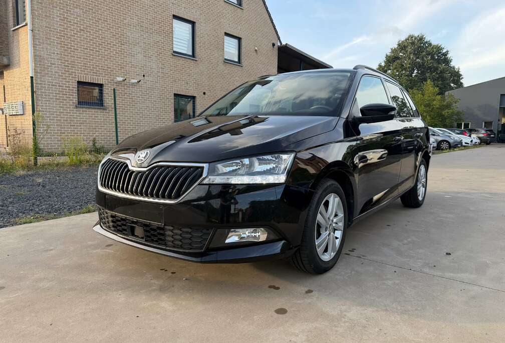 Skoda Fabia SW 1.0 TSI met schade