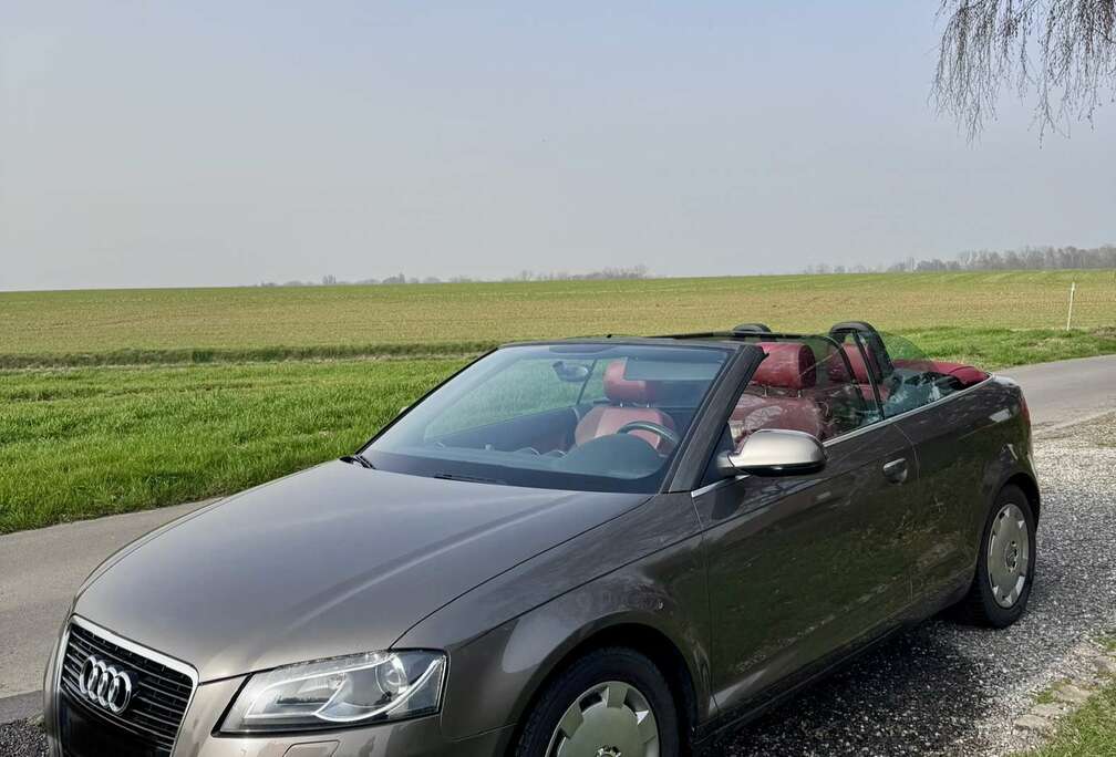 Audi Cabriolet 1.6 TDi Ambition S line Start/Stop DPF