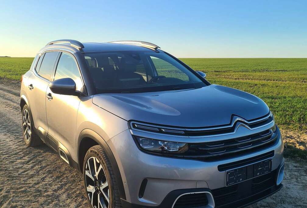 Citroen BlueHDi 130 S&S EAT8 Business