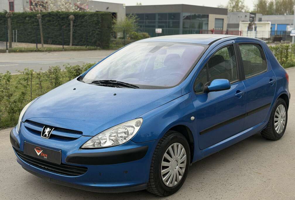 Peugeot Peugeot 307 benzine automaat airco REEDS GEKEURD