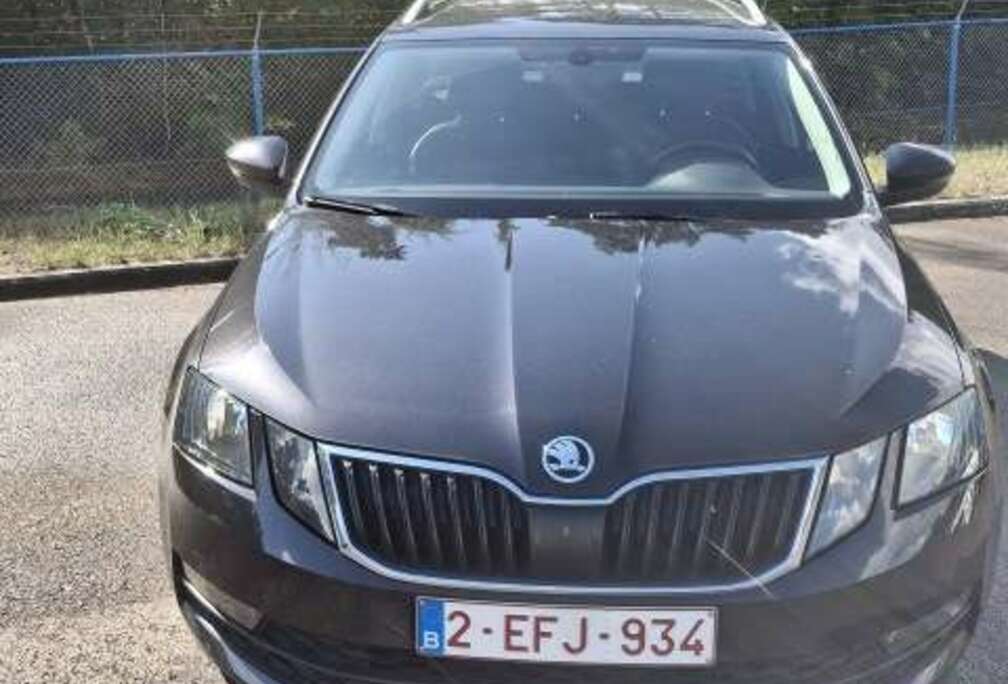 Skoda Octavia SW 1.6 CR TDi Ambition DSG (EU6.2)