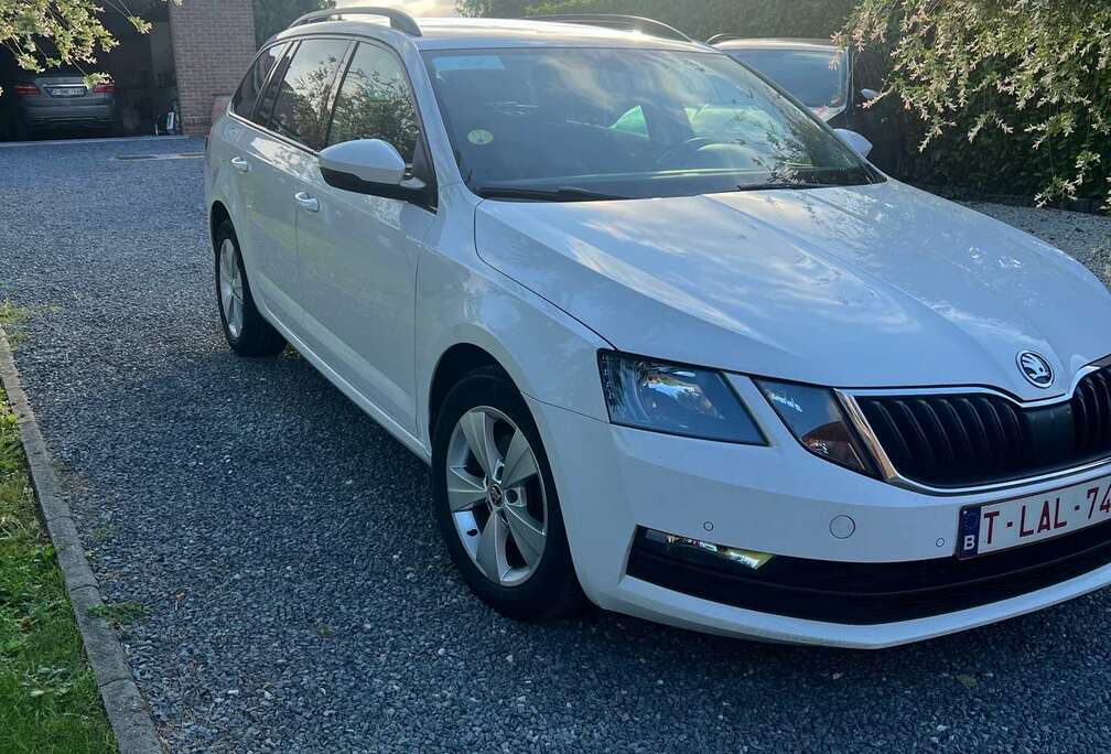 Skoda SW 2.0 CR TDi Style DSG (EU6.2)