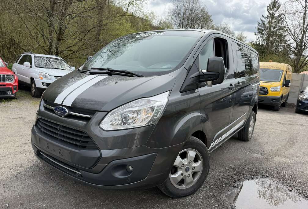 Ford 2.0 TDCi L1H1 Trend 6 Place